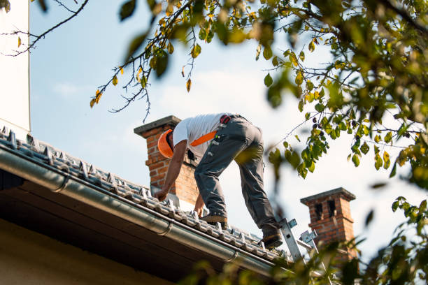 Best Flat Roof Repair Services  in Pottsville, AR