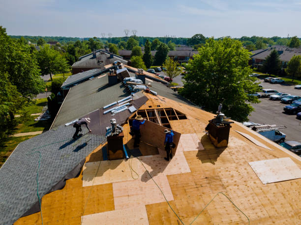 Best Commercial Roofing Services  in Pottsville, AR