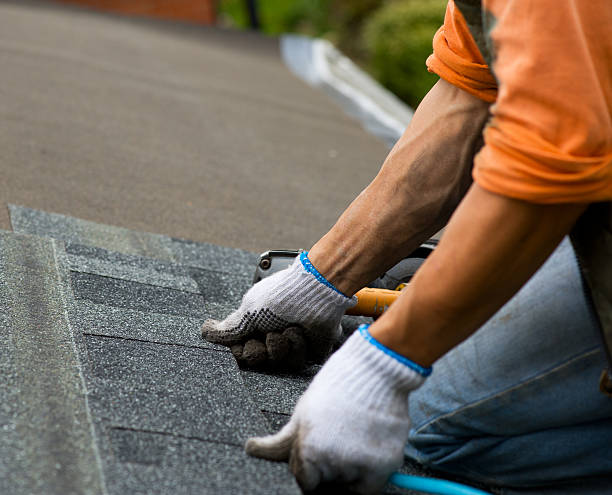 Best Roofing Contractor Near Me  in Pottsville, AR