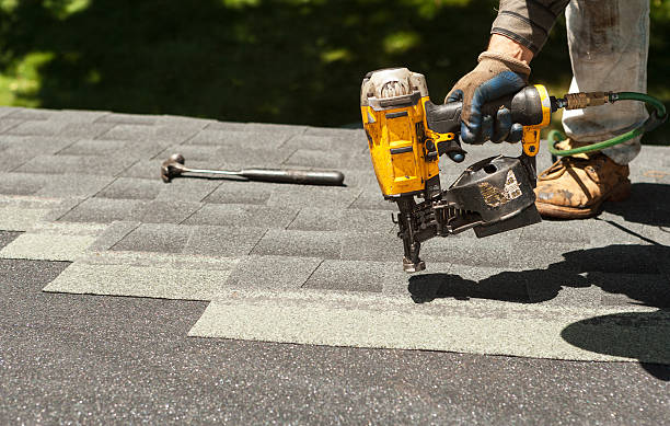 Best Roof Gutter Cleaning  in Pottsville, AR
